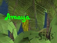 oc_amaya.jpg