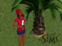 oc_liyah.jpg